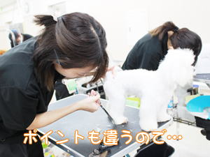 １年生、カットもがんばっています！